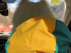 -太子岭滑雪场