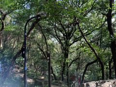 -虞山风景区