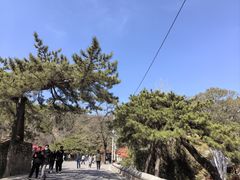 -潭柘寺景区