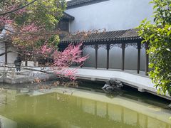 -秋霞圃