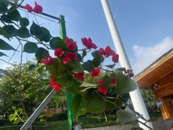 -南海地球村生态亲子乐园