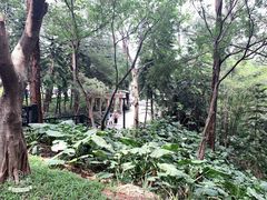 -广州雕塑公园