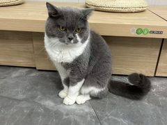 -东莞宠友24H宠物中心医院·转诊夜诊·异宠(新河北路院)