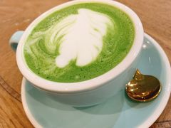 -共舞时光猫咖·狗咖(新街口店)