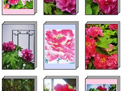 -中国科学院华南植物园