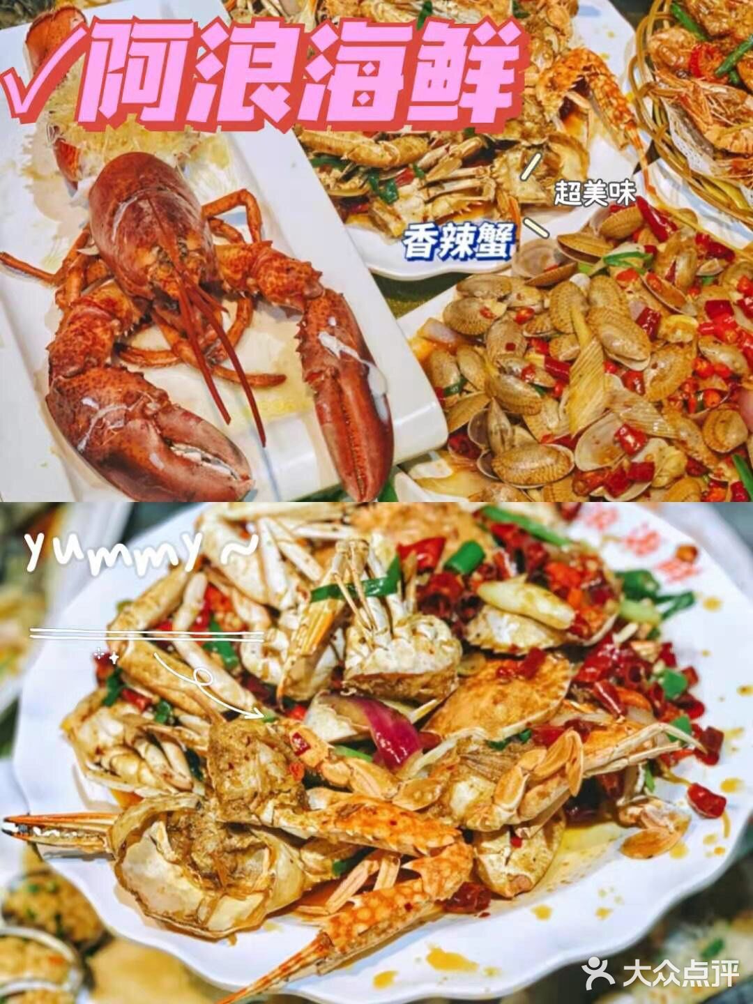 三亚小众景点-南湾猴岛！