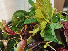 -黔府豆米火锅野菜馆(南马店)