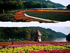 -广州市石门国家森林公园
