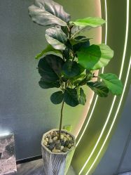 -不迫先生专业男士剪发