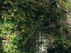 -一澜江宴·江景地标楚菜(江滩公园店)