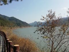 -羚羊峡古栈道森林公园