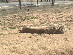 -秦皇岛野生动物园