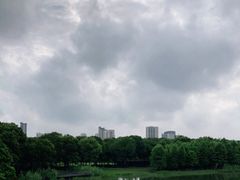 -尚贤河湿地