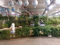 -南宫五洲植物乐园