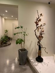 -康颜SPA自然疗愈皮肤管理中心