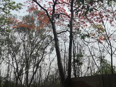 -攀枝花公园