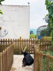 -三分地生态园·儿童乐园