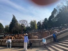 -昆明动物园