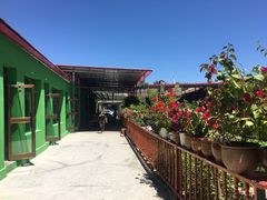 -马白开来特色羊排揪片子  (总店)