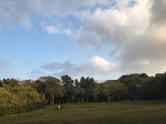 -食代馆(深业上城店)