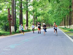 -黄海国家森林公园