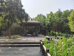 -渤公岛生态公园