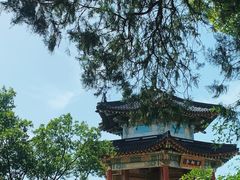 -九华山公园