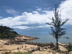 -广东惠东海龟国家级自然保护区