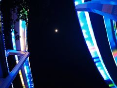 -铜元老码头鳝鱼火锅