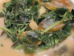 -新吉士·上海菜(浦东LCM置汇旭辉店)