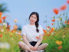 -空港花田景区