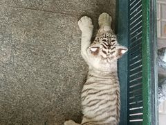 -秦皇岛野生动物园