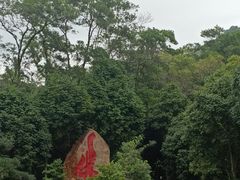-深圳仙湖植物园