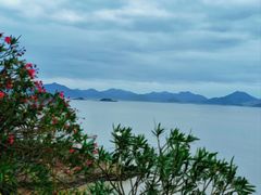 -花岙岛