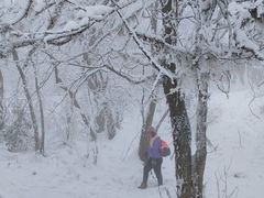 -九峰山