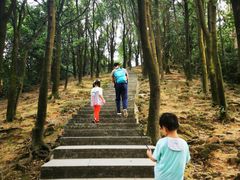 -火炉山森林公园