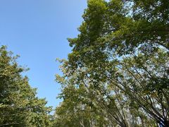 -白鹭洲公园