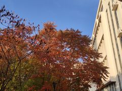 -天津职业大学北辰校区-食堂