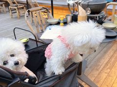 -毛辣果·酸(OHA复兴西路店)