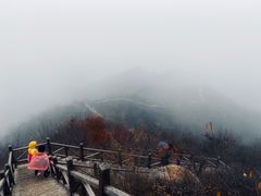 -大岭沟猕猴桃谷风景区
