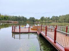 -东郊湿地公园