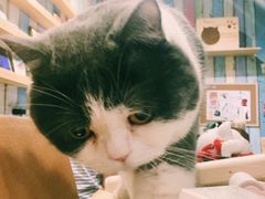 -小时光咖啡馆(开森度假森林店)