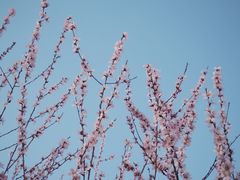 -三里河公园