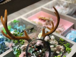 -可爱多国际儿童摄影会馆(龙泉店)