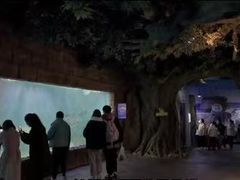 -多彩贵州城极地海洋世界