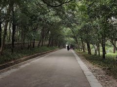 -灵谷景区