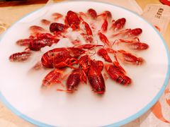 冰镇花雕小龙虾-杨氏青龙虾·羊蝎子(珠江路店)