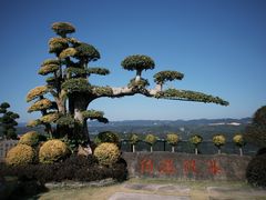 -刘伯温故里景区百丈漈