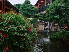 -猪肉婆私房菜(容桂总店)