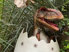 -呀路古热带植物园